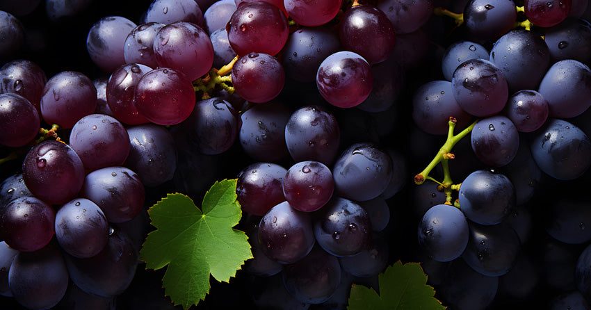 Trans-resveratrol is the most bioavailable form of resveratrol.