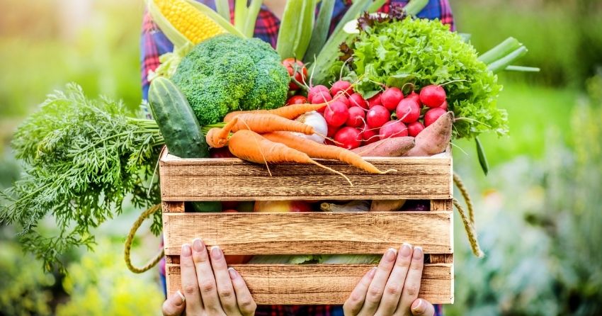 8-Week Diet and Lifestyle Program Reduces Biological Age by 3 Years