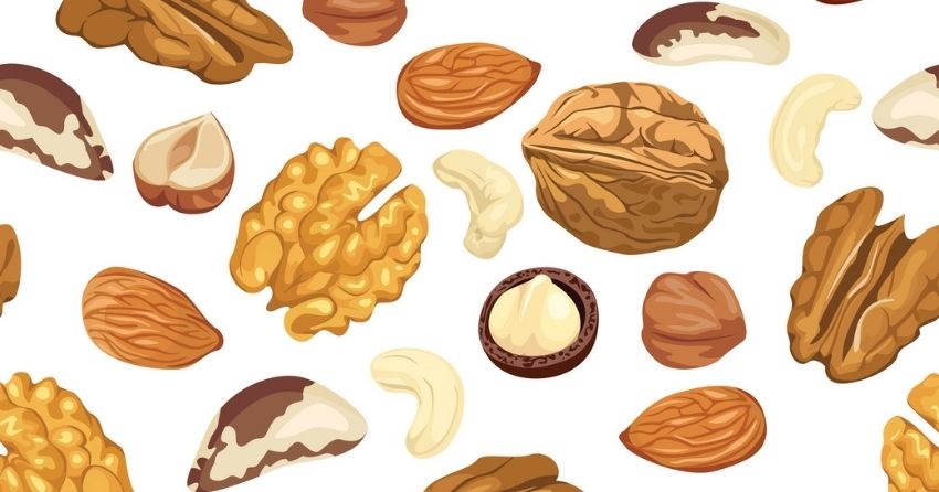 Two Studies Find Walnuts and Pecans to Support Longevity and Cholesterol, Respectively