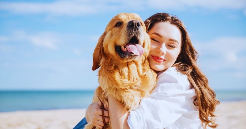 Longevity Expert Series Dr Matt Kaeberlein And The Dog Aging Project