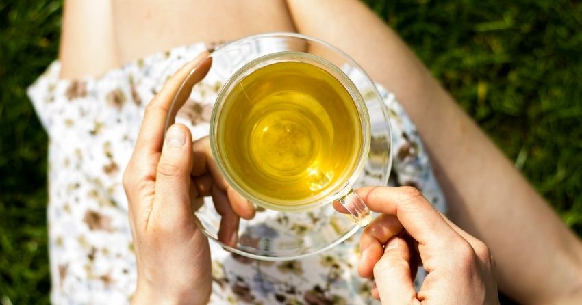 Green Tea Compound EGCG Extends Lifespan and Healthspan by Fighting Cell Aging